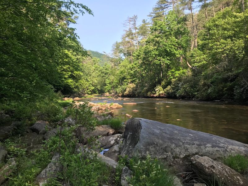 The Chattooga River Makes a Fine Opening Act