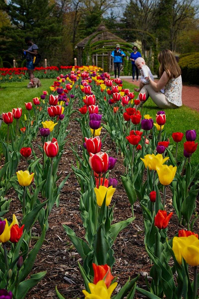 Elizabeth Park - Hartford and West Hartford, Hartford County