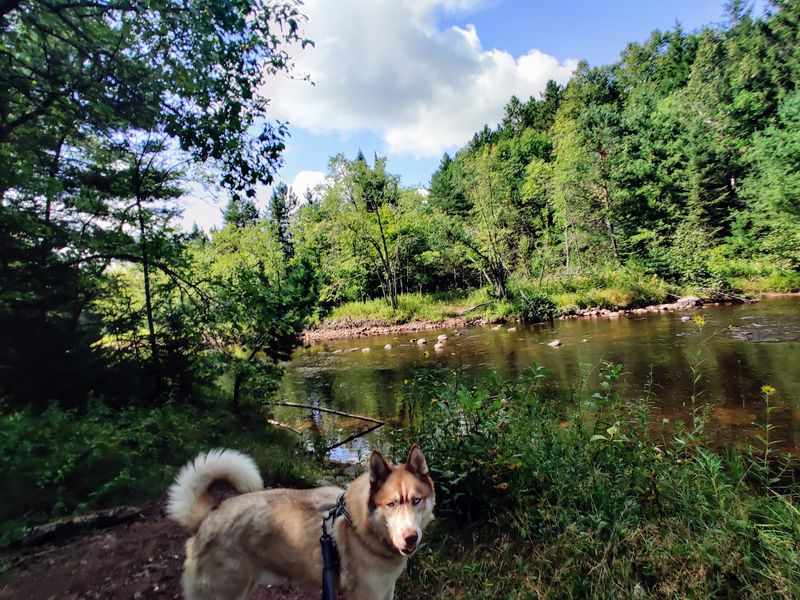 Takesson Trail
