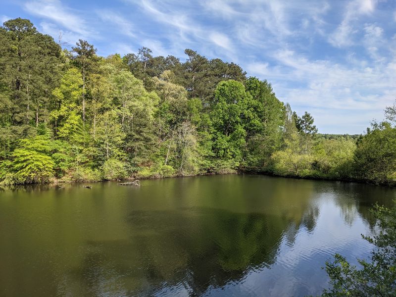 Canoeing, Ponds, And Water Watching For Curious Explorers