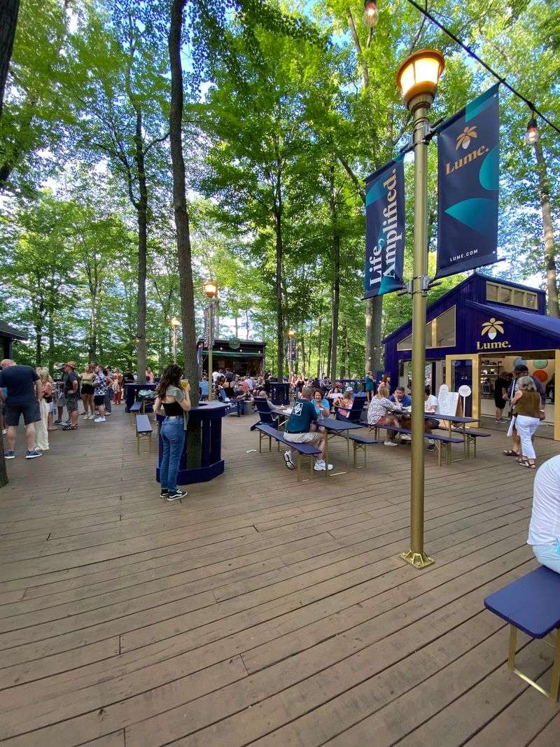 Visitor Info And Tips Before Your Pine Knob Summer Show