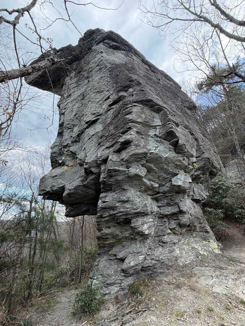 Sitting Bear, Burke County