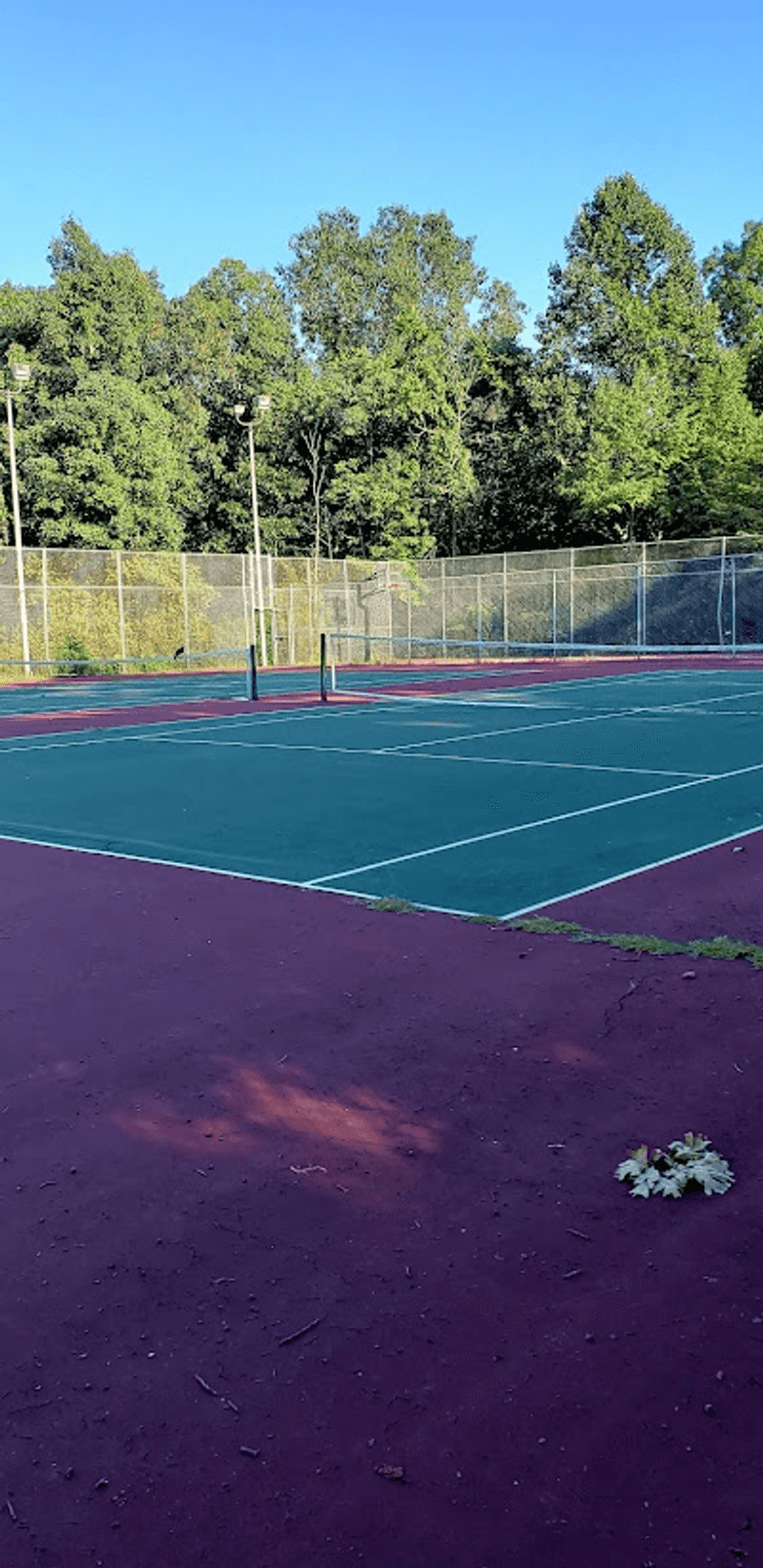 Courts, Nature Center, And Rainy-Day Backups