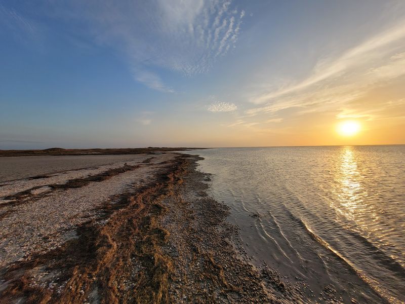 Padre Island National Seashore - Corpus Christi