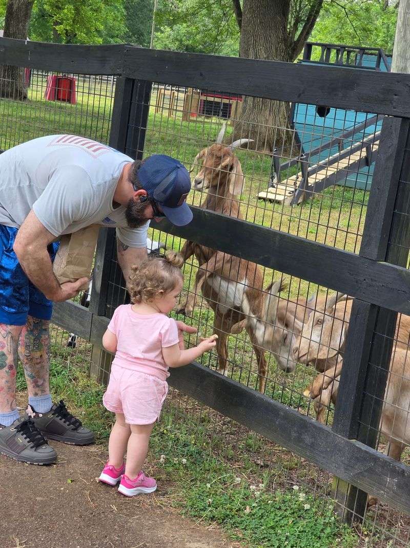Noah's Ark Animal Sanctuary