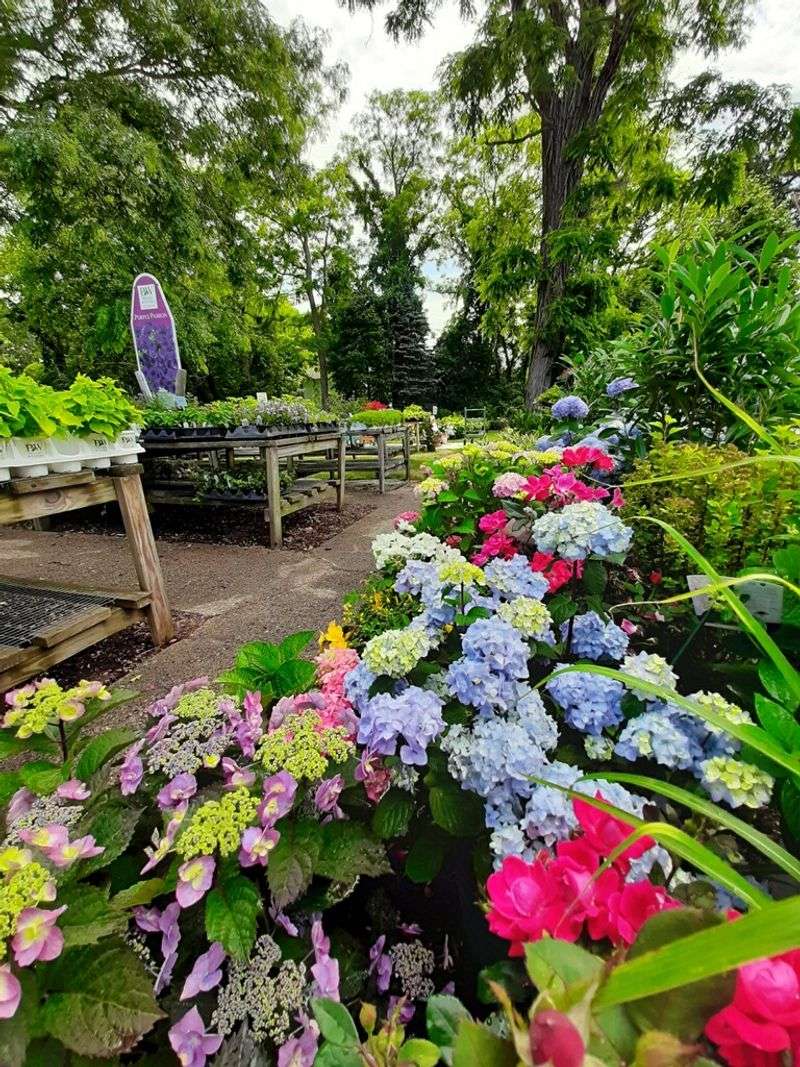 Scenic Roots Garden Center & Farm Stand, East Sandwich
