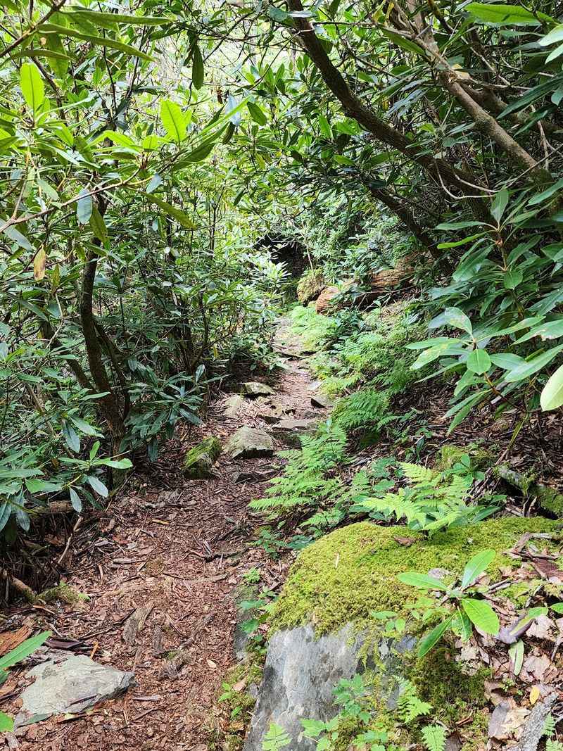 Rough Roads And Smart Planning