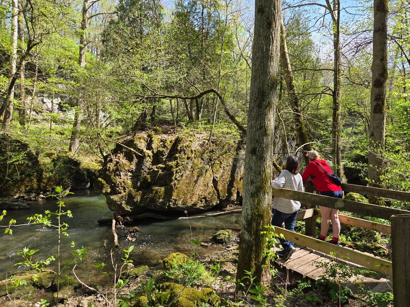 More Than a Hike for Families and Groups