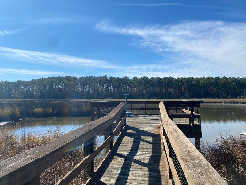 Wildlife Watching Worth Slowing Down For