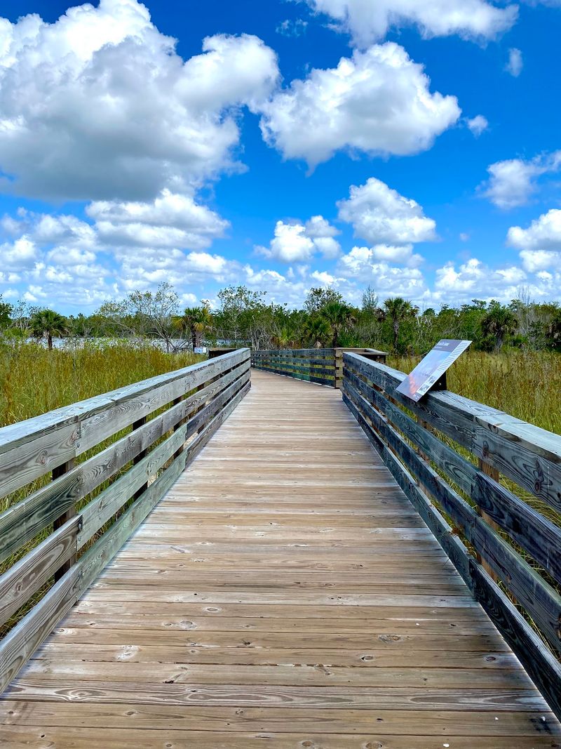 Fakahatchee Strand Preserve State Park - Copeland, Collier County