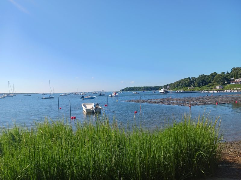 Boat access offers the easiest route for some visitors