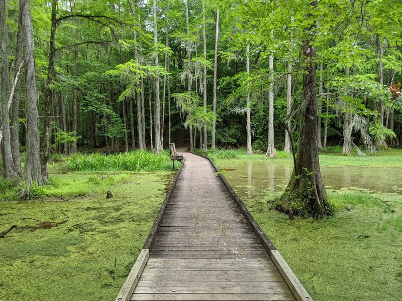 Trails and boardwalks add a second kind of adventure