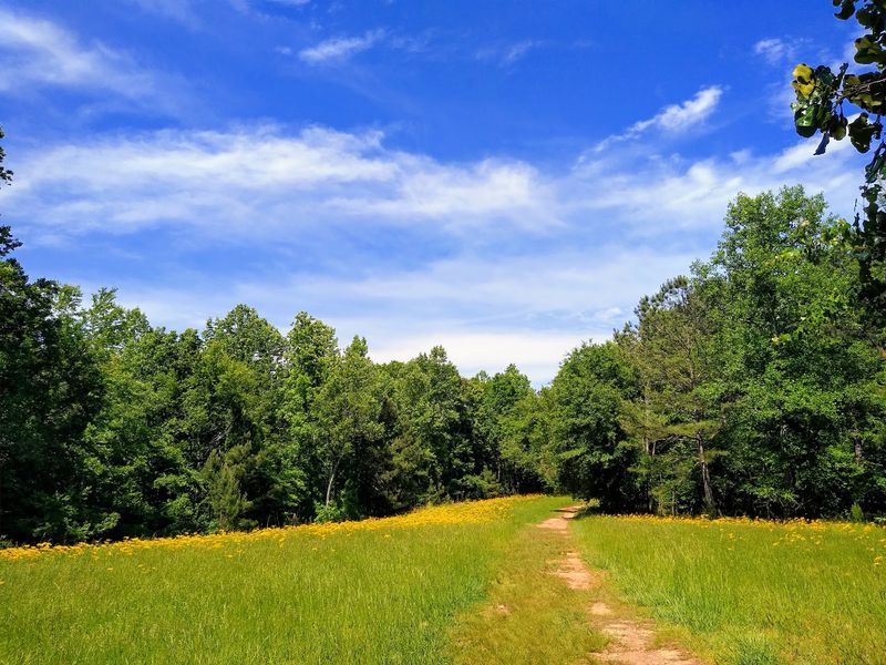 White Trail - Sweetwater Creek State Park