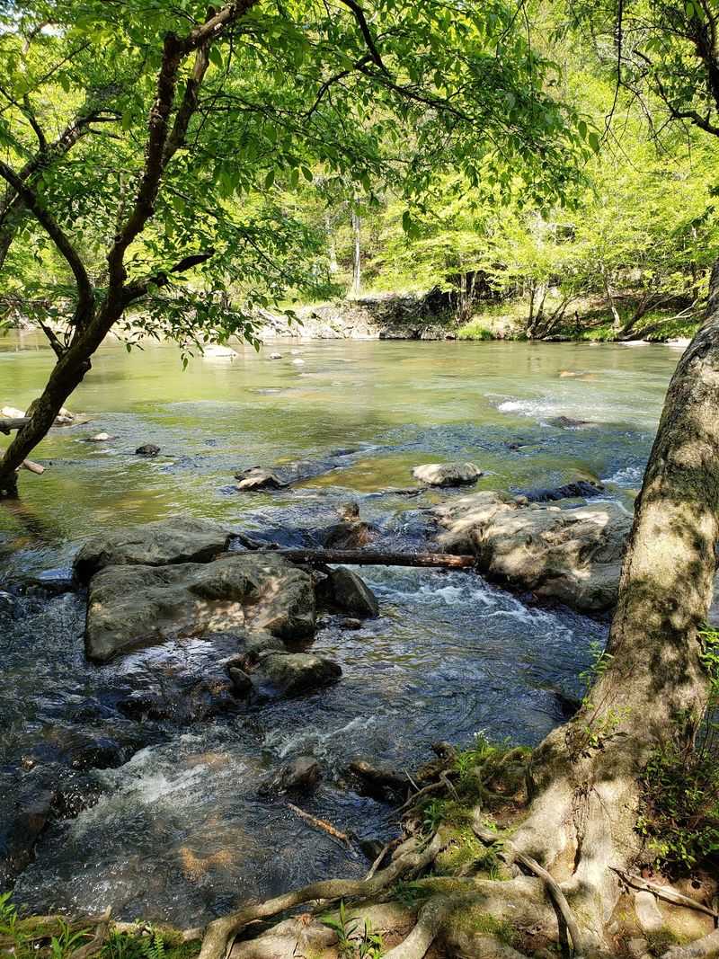 Eno River State Park - Durham, Durham County
