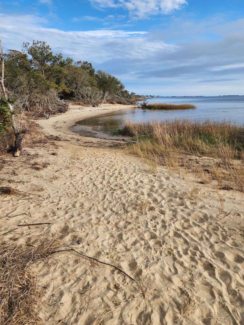 Jockey's Ridge State Park