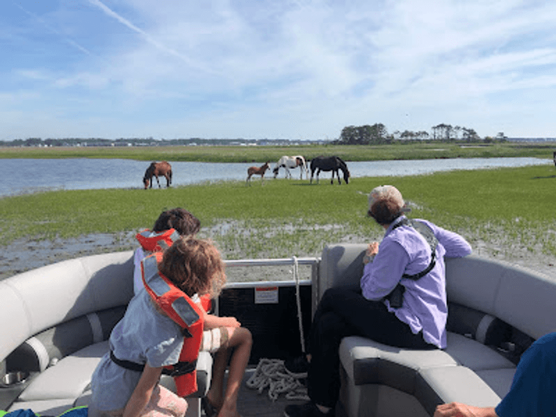 A Comfortable Ride For Small Groups