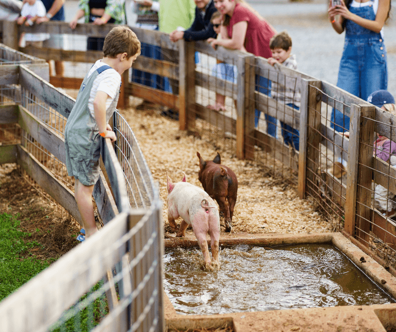 Cagle's Family Farm