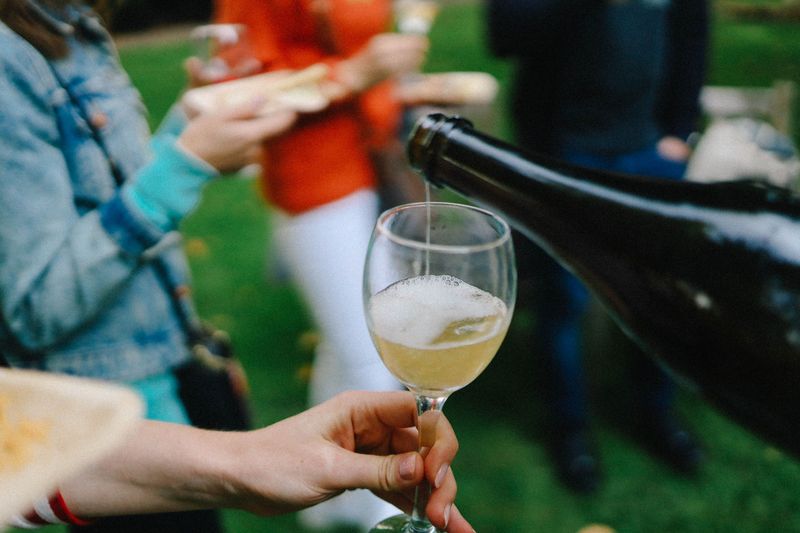 Yadkin Valley Grape Festival (Yadkinville)