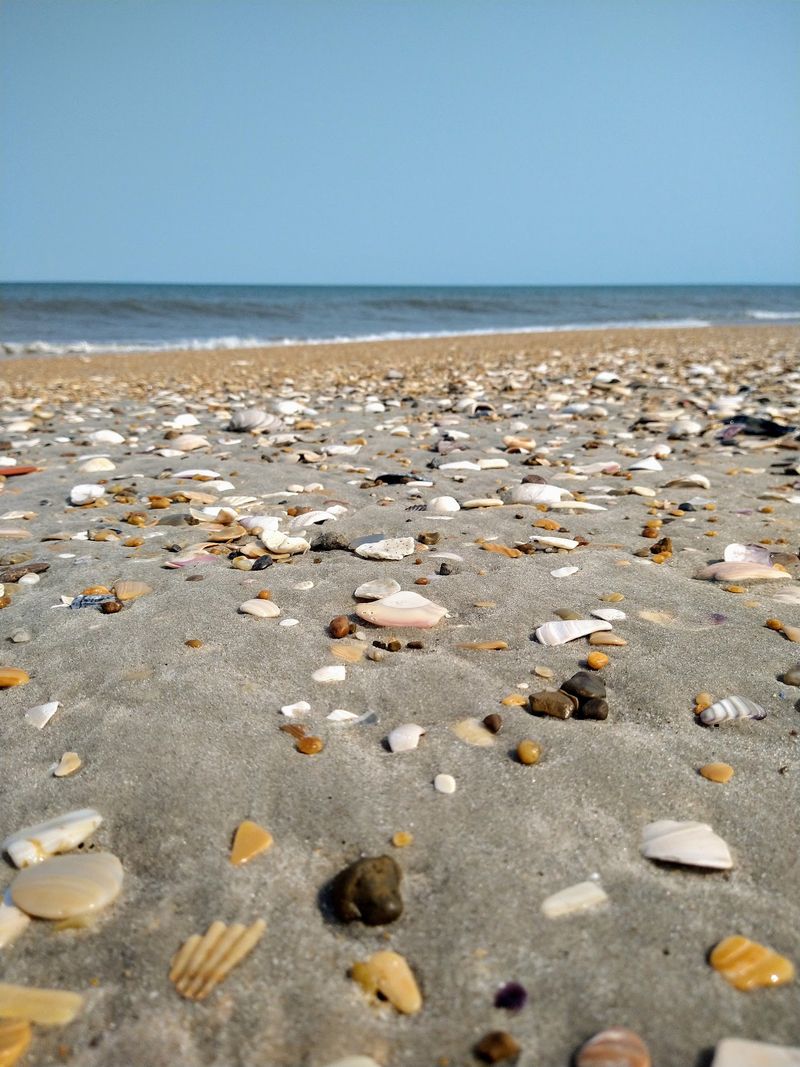 Pea Island Beach - Hatteras Island