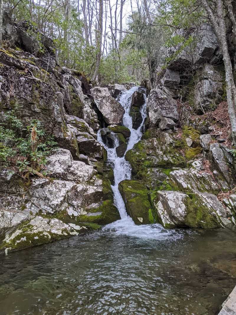 White Rock Falls - Massies Mill