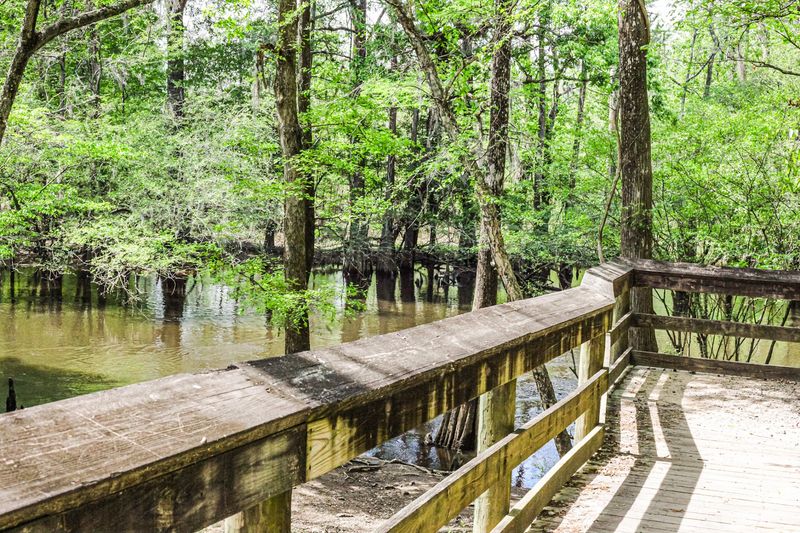 The Riverwalk and Nature Trail