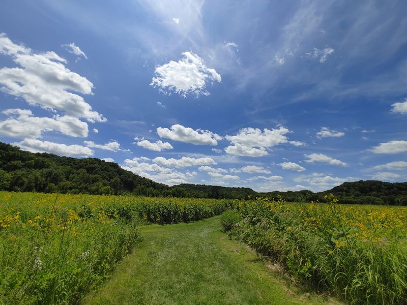 Decorah, Winneshiek County,