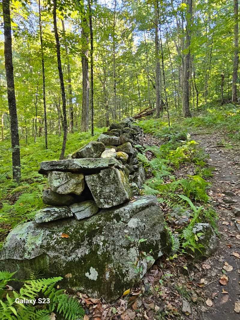 Stone Walls and Old Roads Beneath the Forest