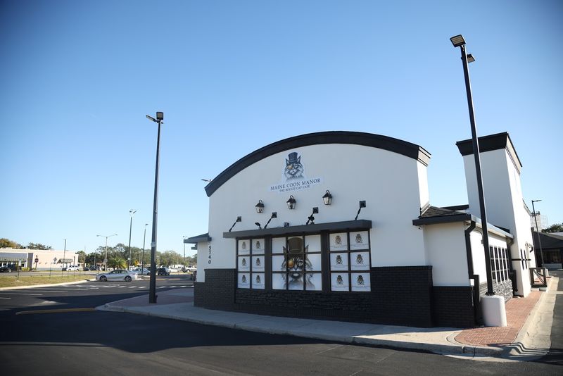 A Cat Lover's Dream Destination Minutes From Disney World