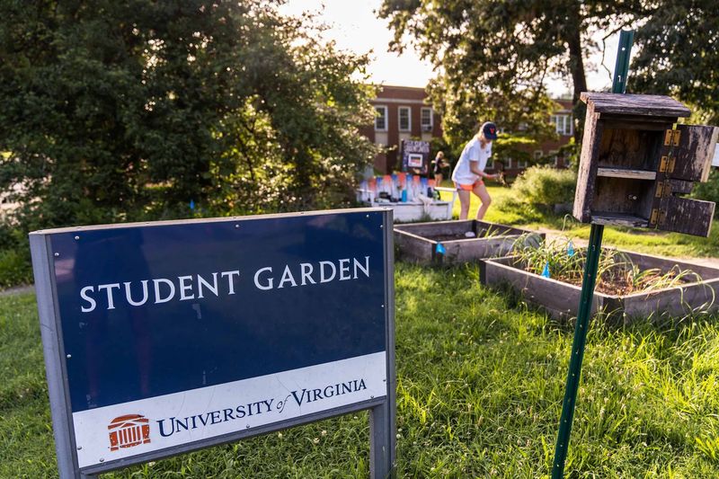 UVA Gardens and Grounds - Charlottesville
