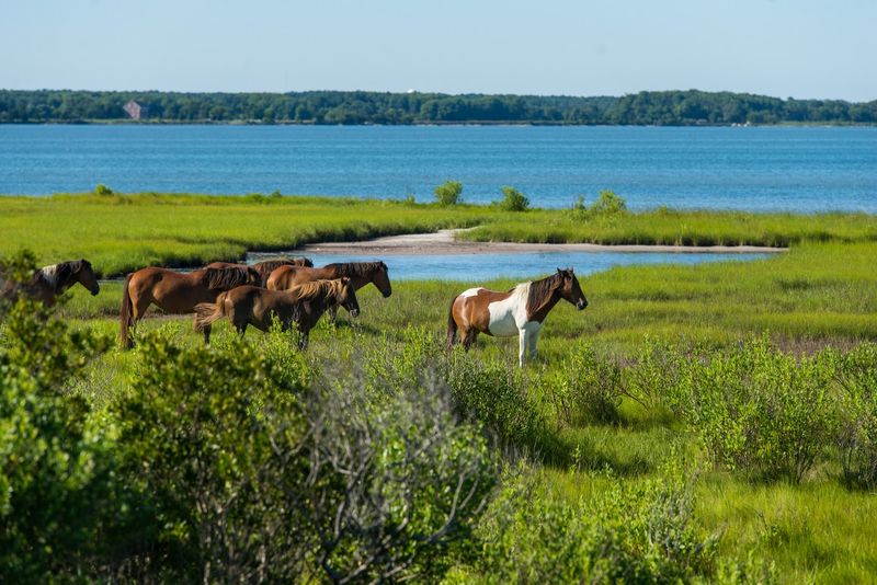 Eastern Shore of Virginia Scenic Byway - Cape Charles to Chincoteague