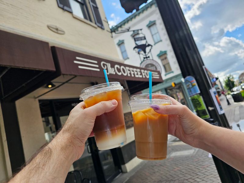 The Coffee Fox - Savannah