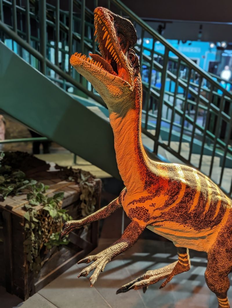 Virginia Living Museum, Newport News, Newport News City