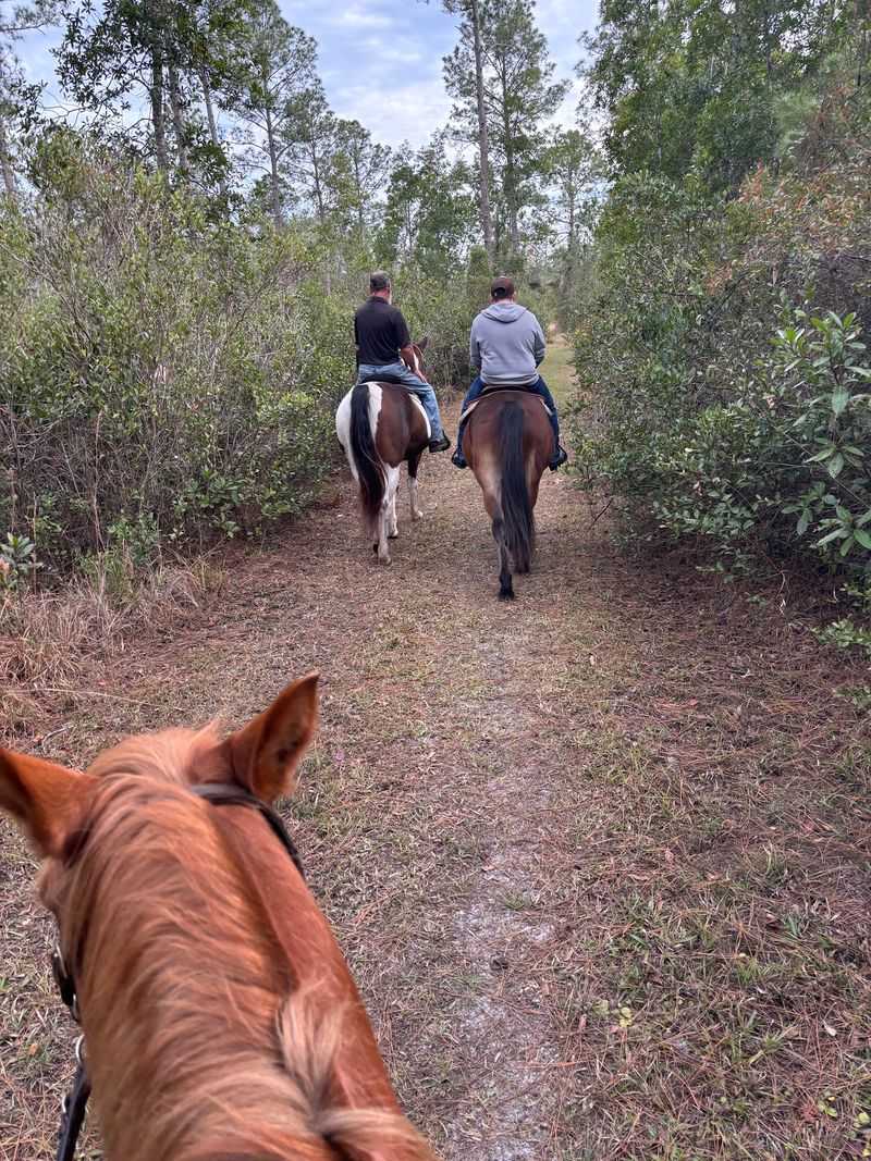 2K Ranch - Bunnell