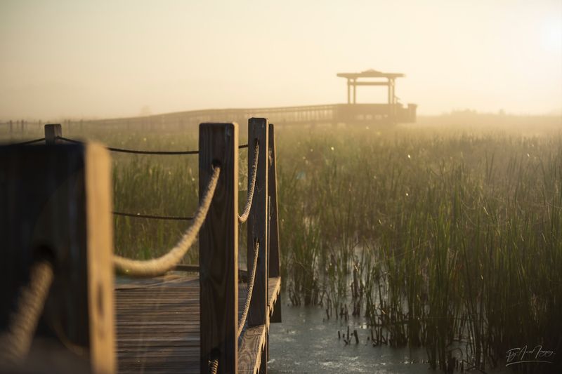 Horicon Marsh, Dodge County