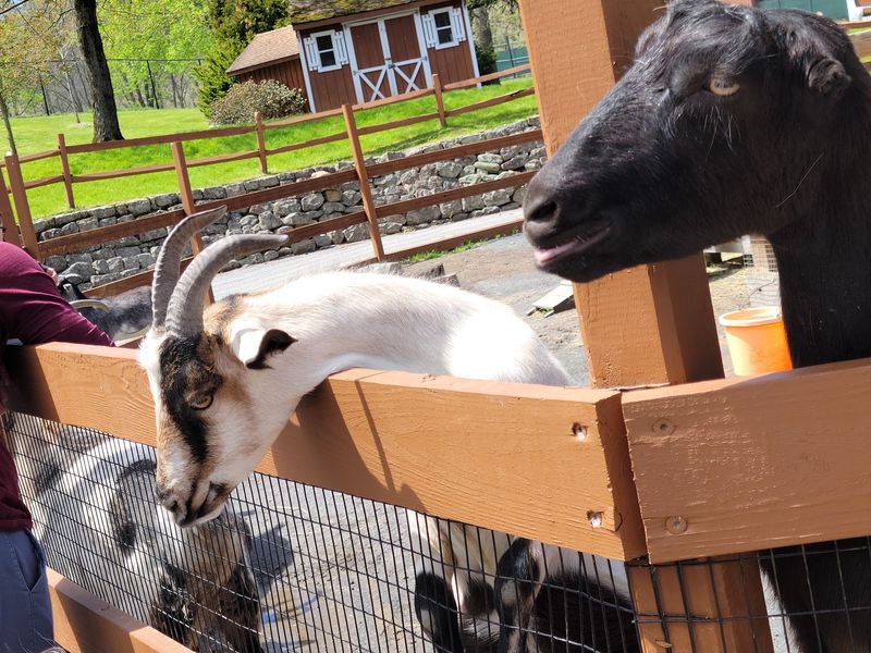 Lehigh Valley Zoo