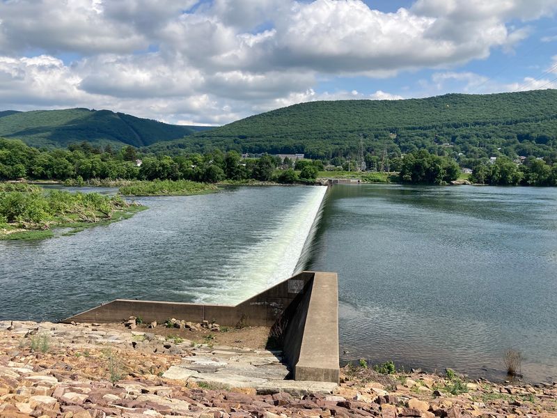 Susquehanna River Walk & Timber Trail - Williamsport