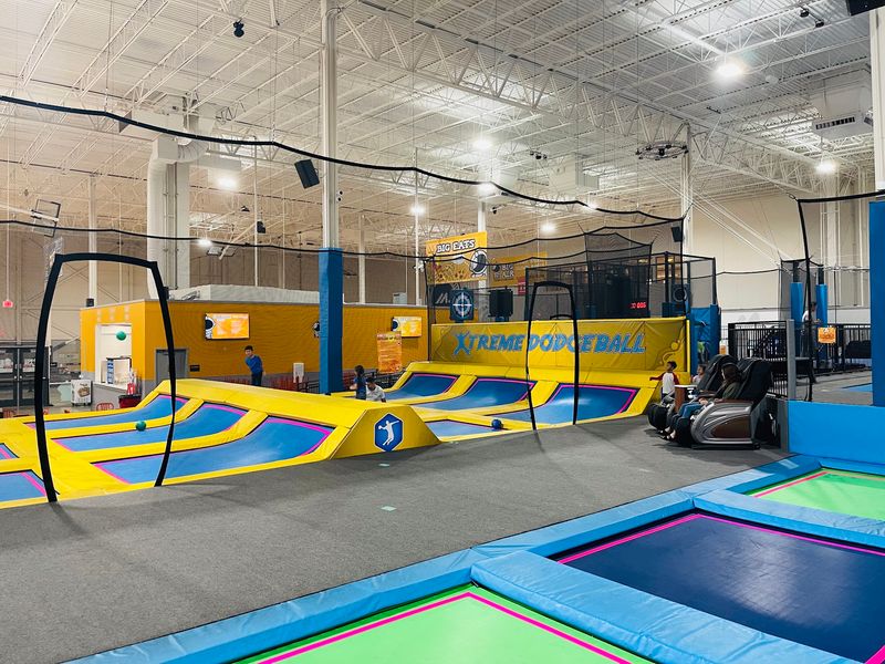 Dodgeball Courts Where Family Rivalries Come Alive