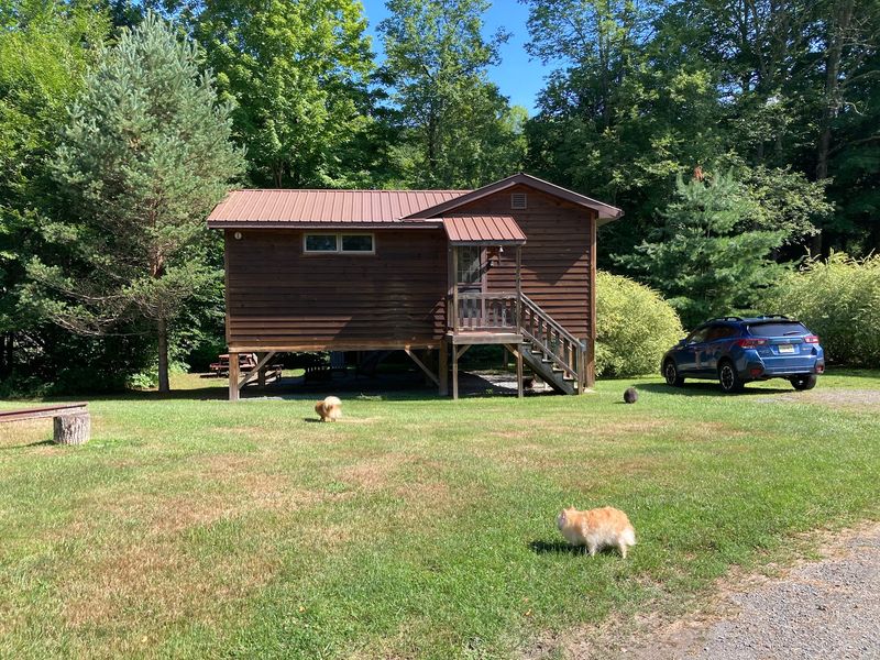 J&S Creekside Cabins - Livingston Manor