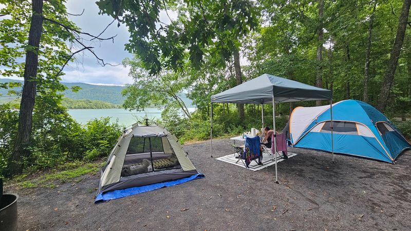 Sleep Under the Appalachian Forest Canopy