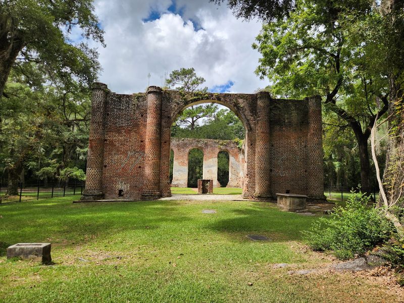 Spanish Moss Sets the Mood