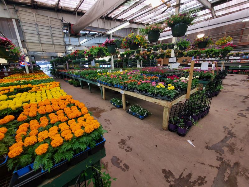 Pair the Flea Market With Leighty's Farm Market