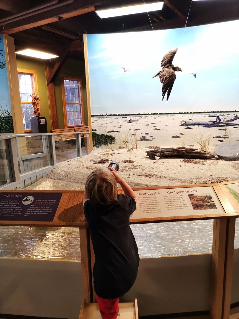 Hands-On Learning That Sticks With Young Minds
