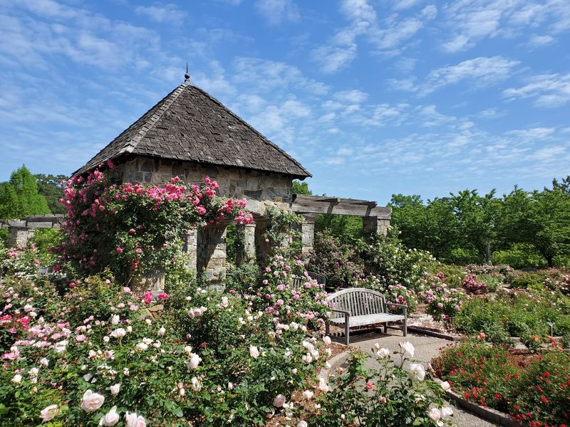 Why Photographers Love This Garden