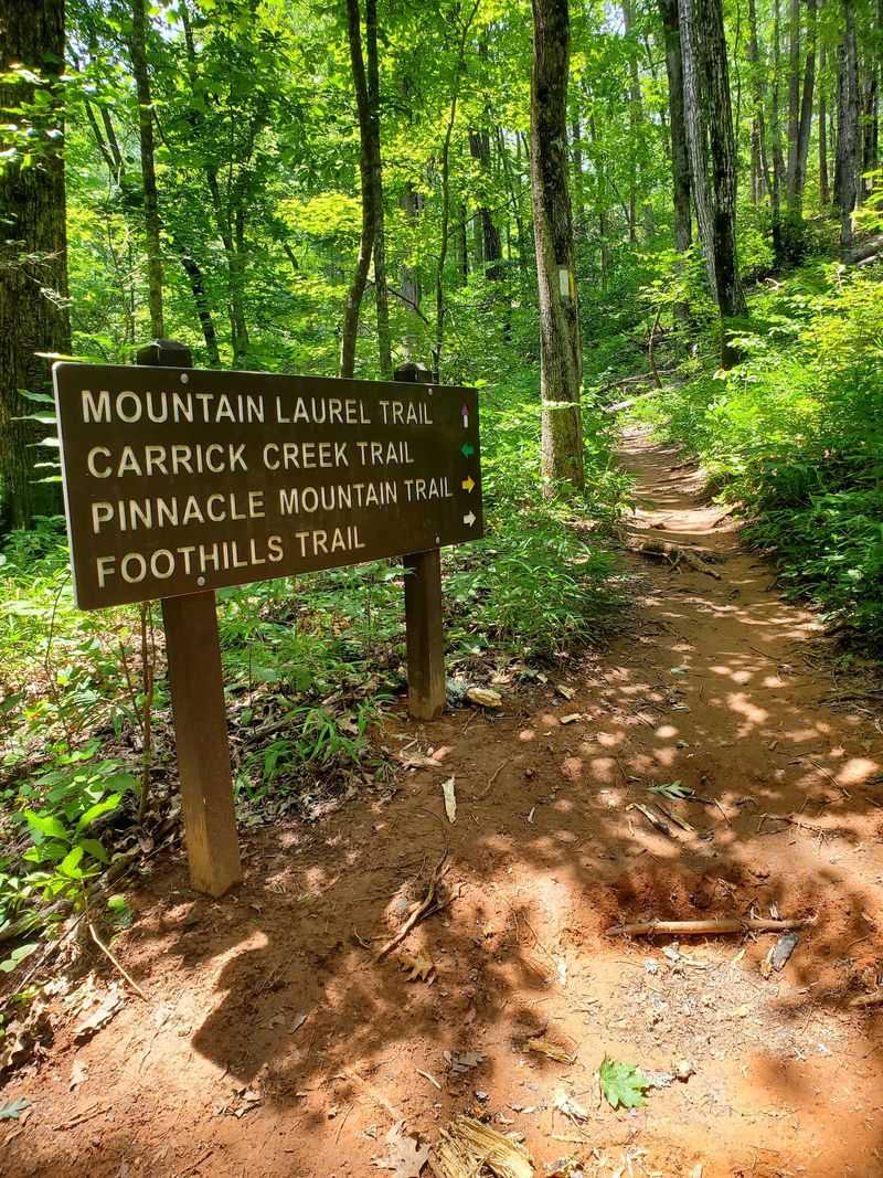 Pinnacle Mountain Trail - Table Rock State Park