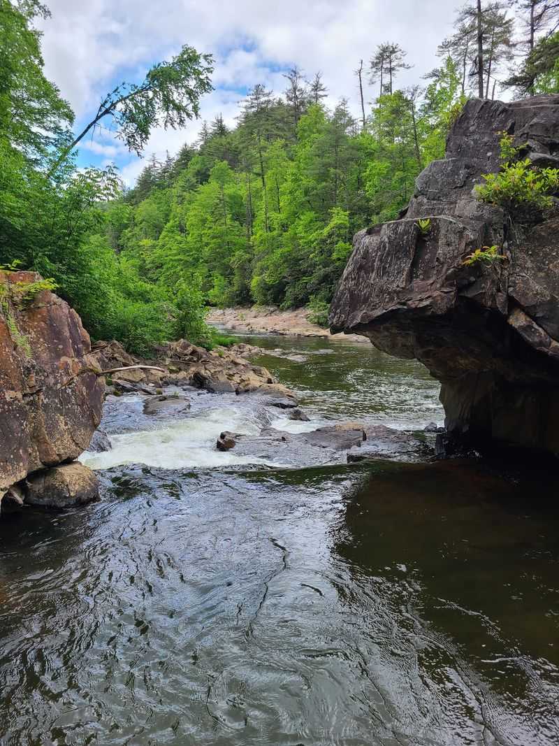 Bynum Bluff, Burke County