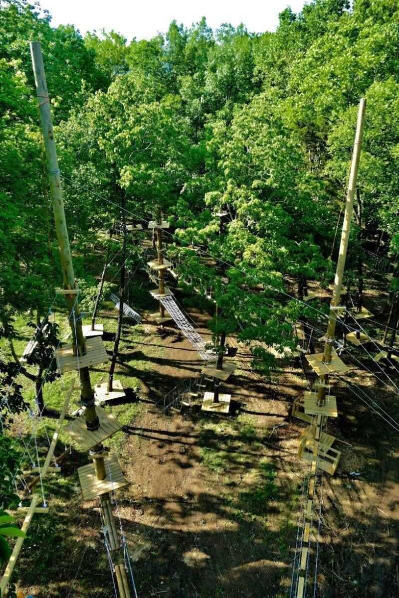 Over 100 Aerial Treetop Challenges