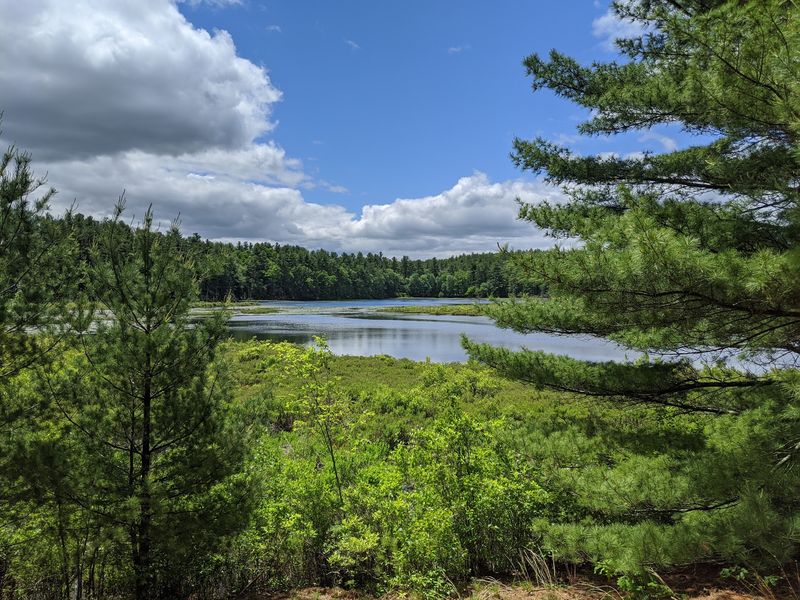 Discover the Wachusett Greenways Section