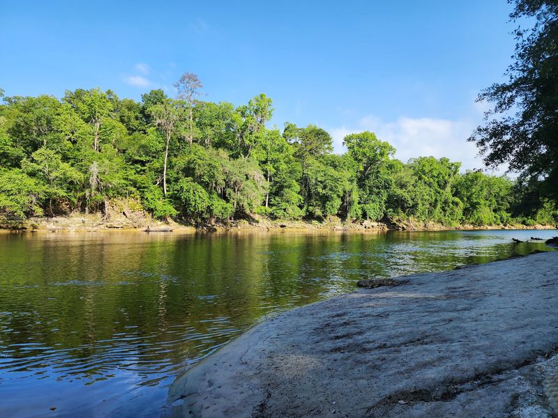 Walk The Trails At Suwannee River State Park