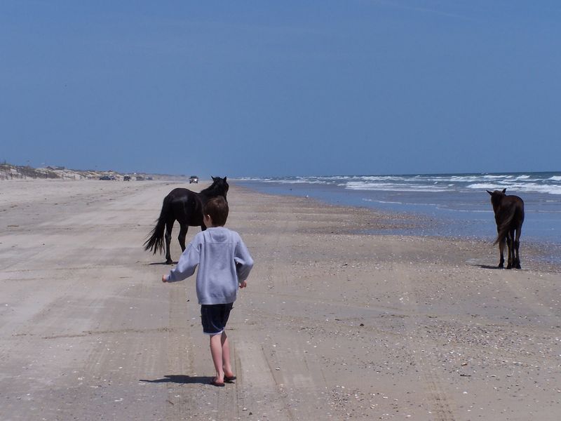 Corolla Beach