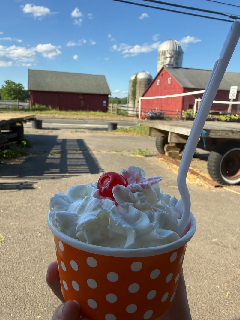 Old Farm Charm at Tulmeadow Farm
